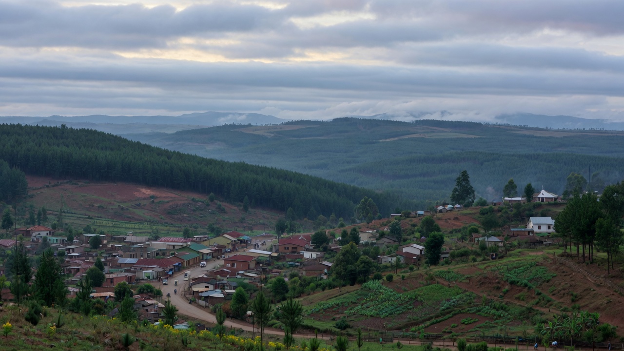 Mzuzu — Northern Region · Viphya highlands and timber